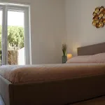 Galileo's - Apulian Group